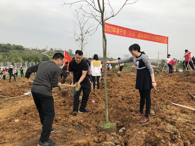 植树活动2.jpg 植树活动2.jpg