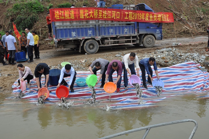 鱼苗流放现场2.JPG