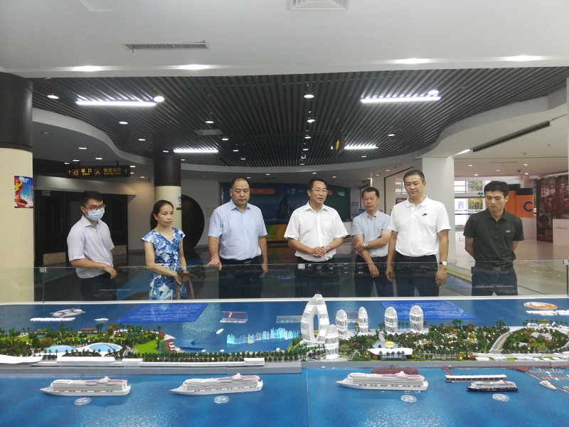 调研三亚凤凰岛国际邮轮港规划建设情况.png