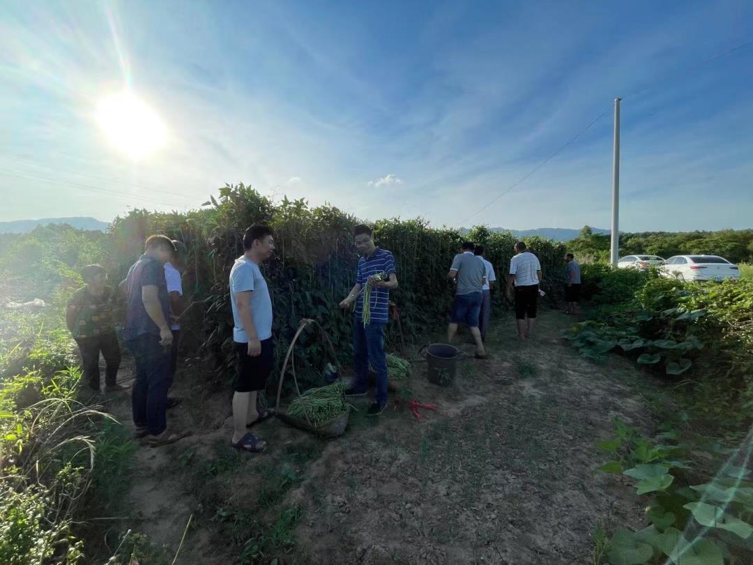 _202106伍志龙书记带队到全州永岁乡罗家湾调研豆角生产加工基地.jpg