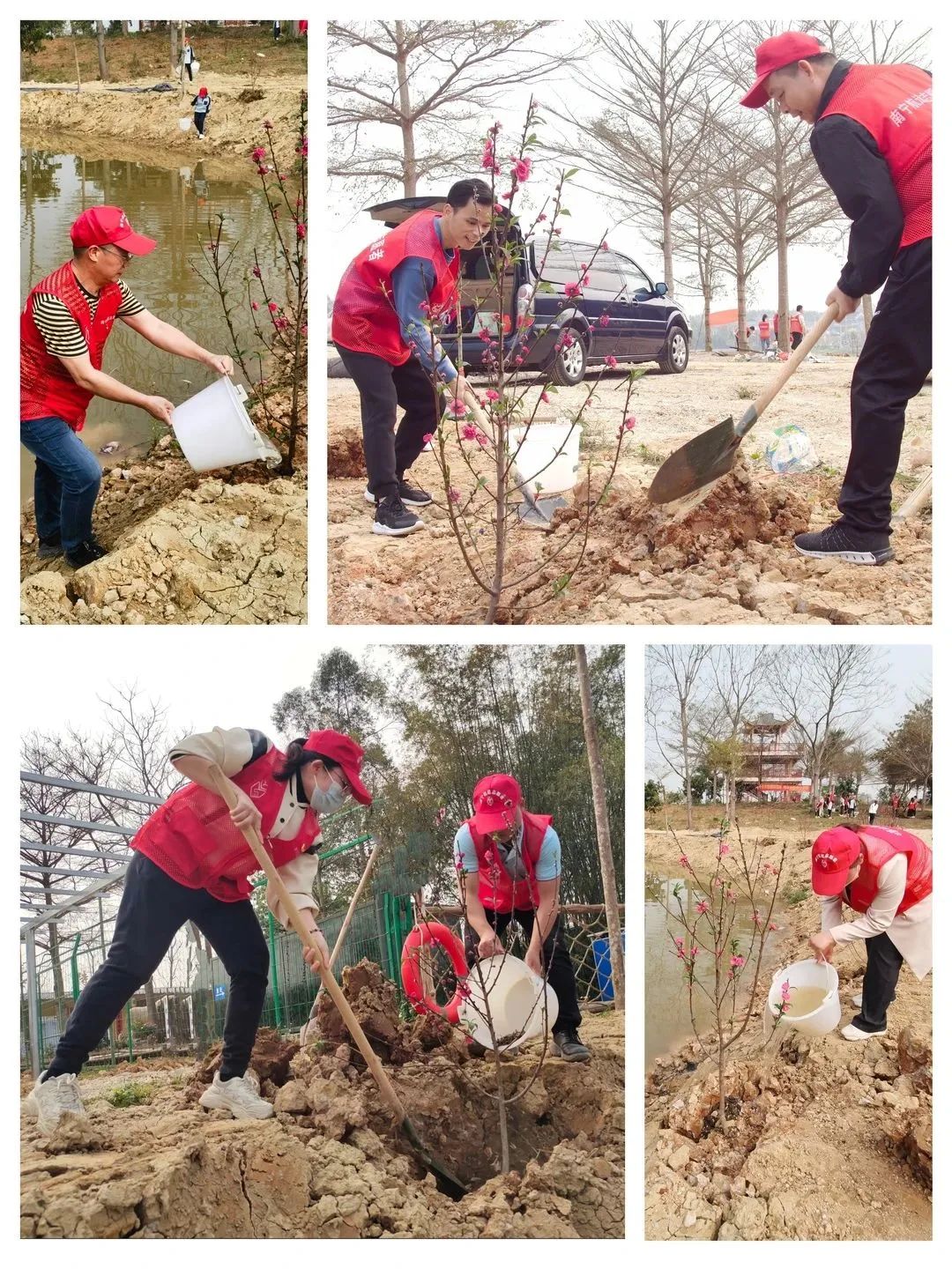 微信图片_20230310100702.jpg 微信图片_20230310100702.jpg