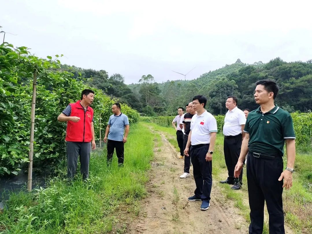 微信图片_20230625083304.jpg 微信图片_20230625083304.jpg