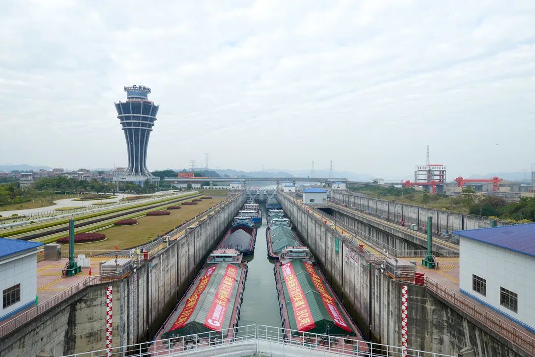 微信图片_20231226153646.jpg 微信图片_20231226153646.jpg