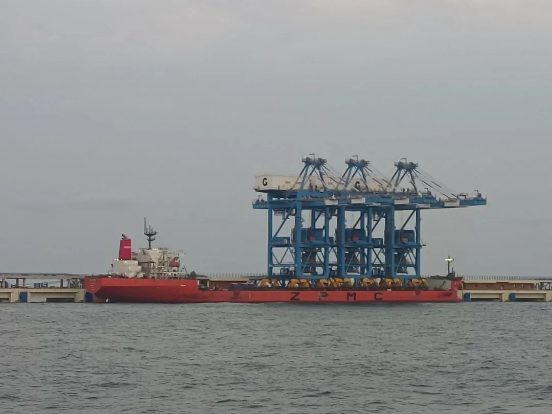 1732155900477005512.jpg 2.jpg