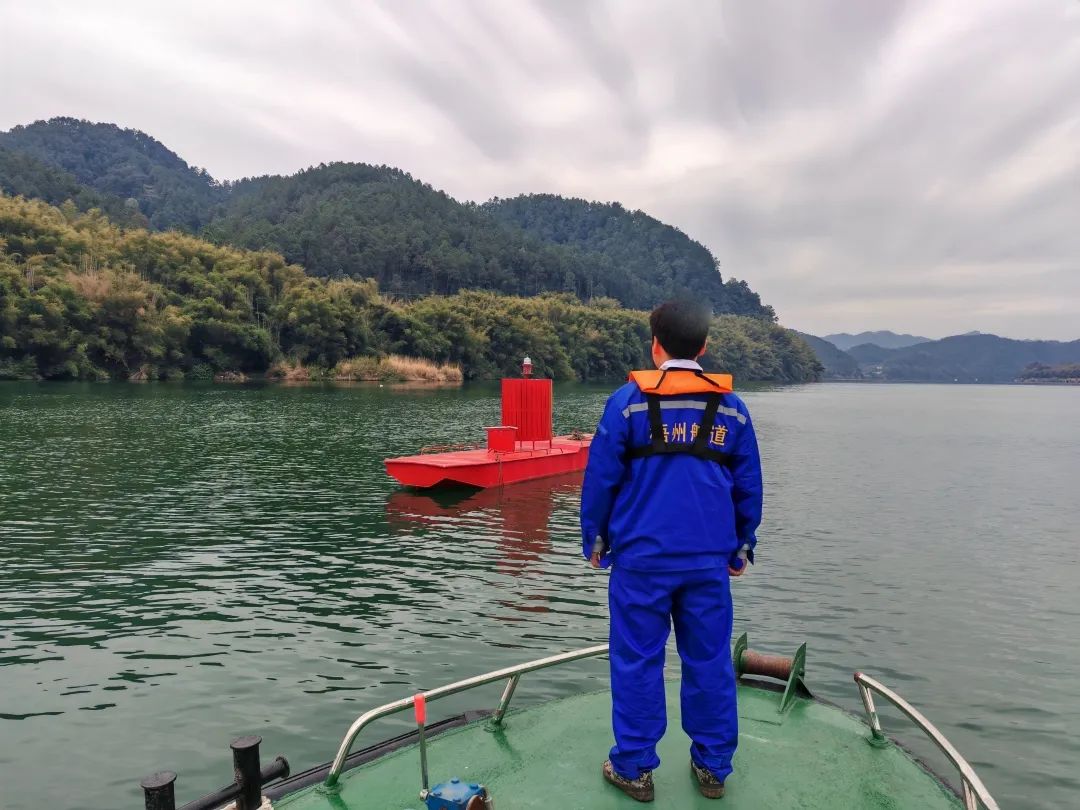 1738897419297090196.jpg 6.jpg