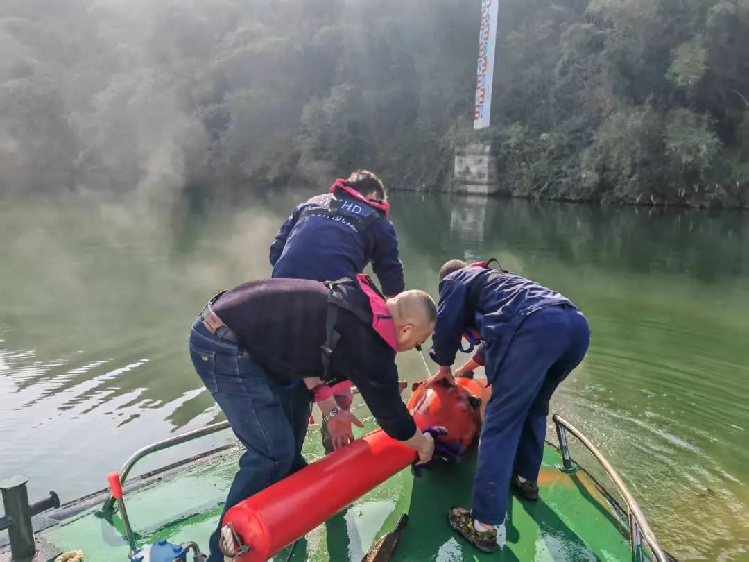 1738897581356044496.jpg 7.jpg