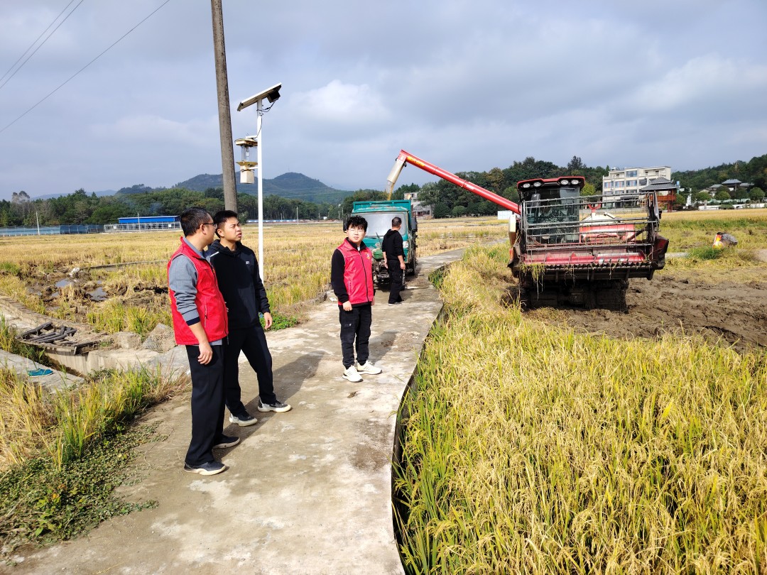 图2驻村队员徐少琦深入田间地头了解稻谷收割情况（左三）.jpg
